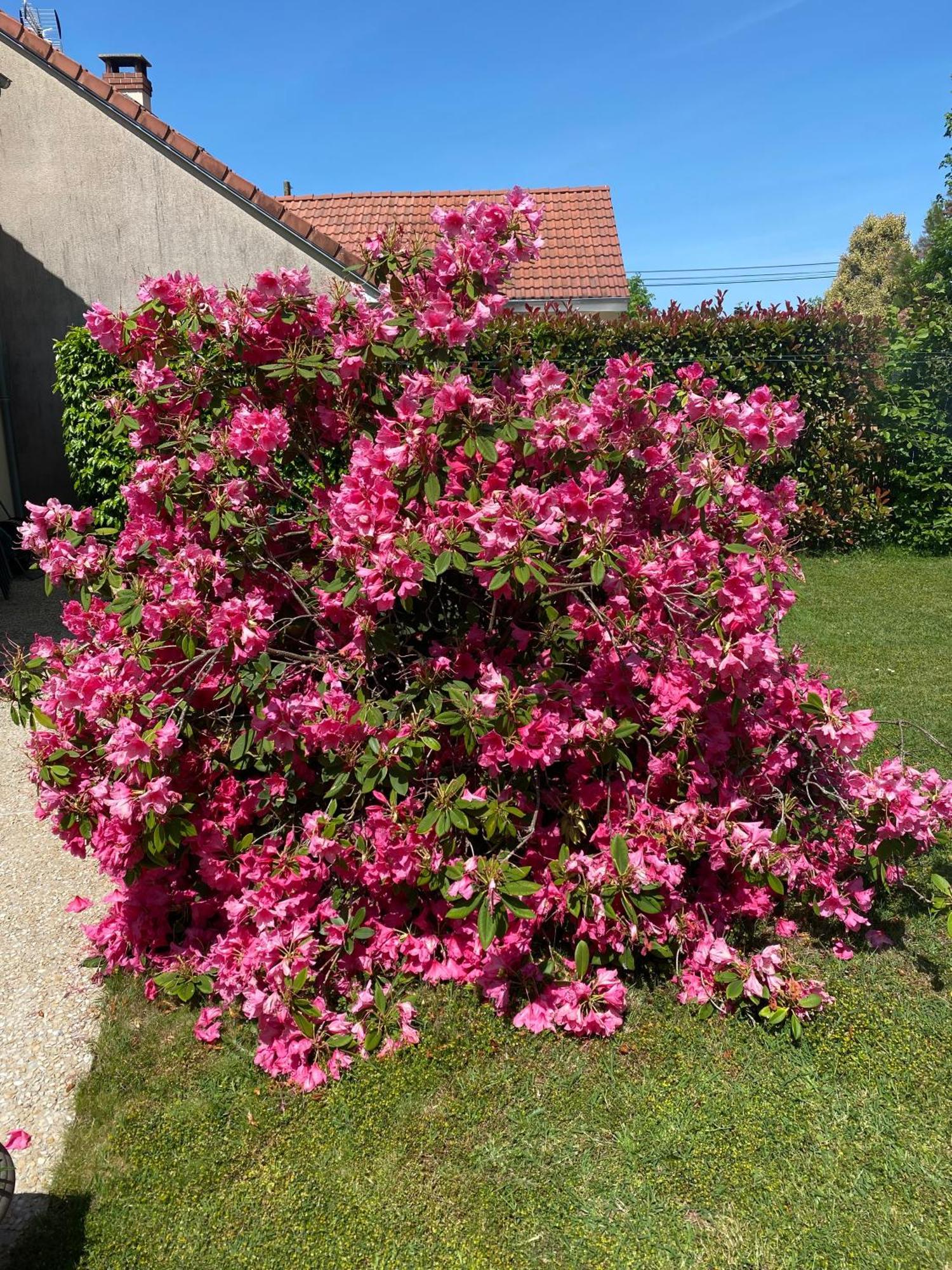 Le Petitepinay Bed and Breakfast Moitron-sur-Sarthe Eksteriør billede